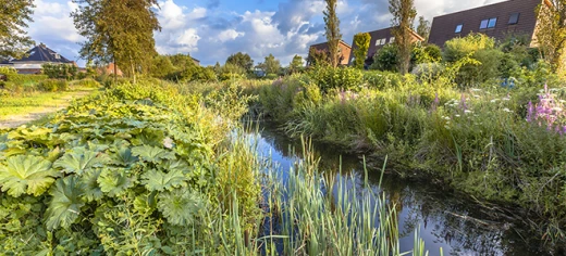 Basiskwaliteit Natuur
